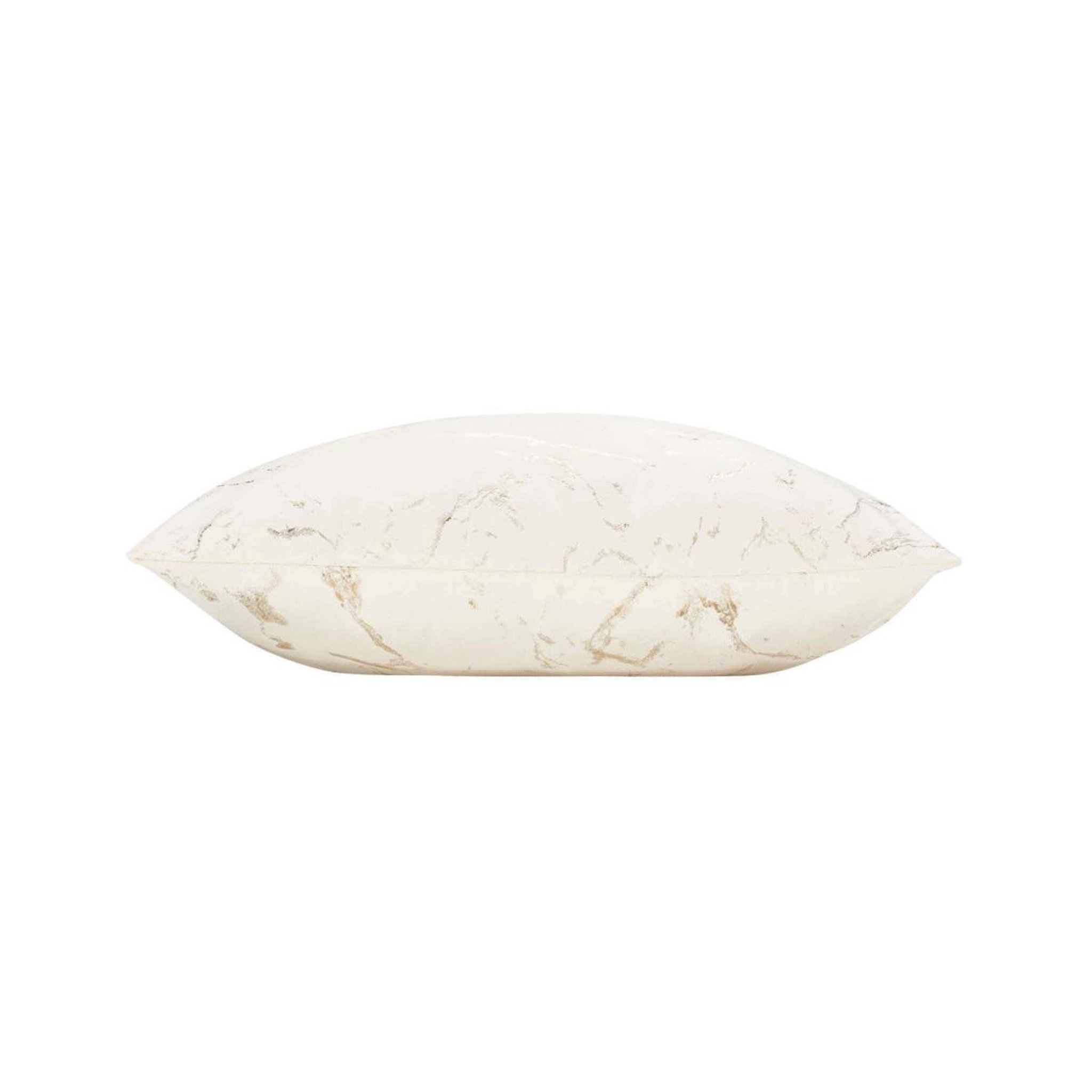 Voir la diapositive 2 : Douceur d'Intérieur Coussin déco velours  marius  45x45cm beige