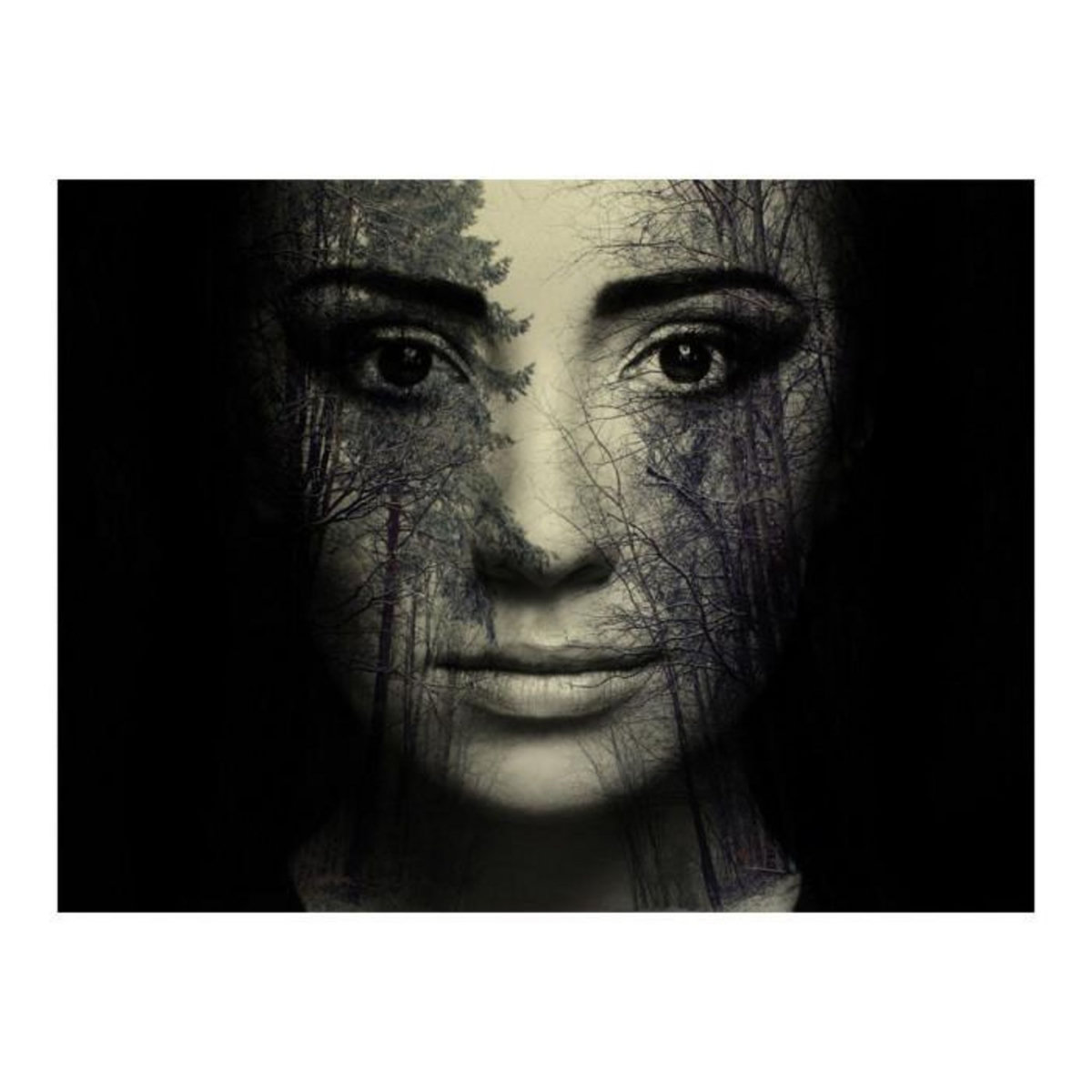 Paris Prix Papier Peint  Forest Mask