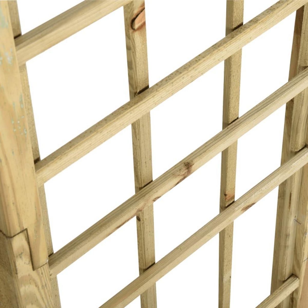 VIDAXL Arche avec treillis Bois de pin vert impregne