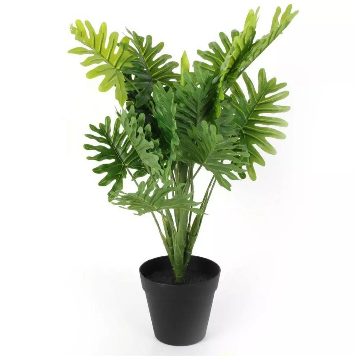 Paris Prix Plante Artificielle en Pot  Philodendron  55cm Vert