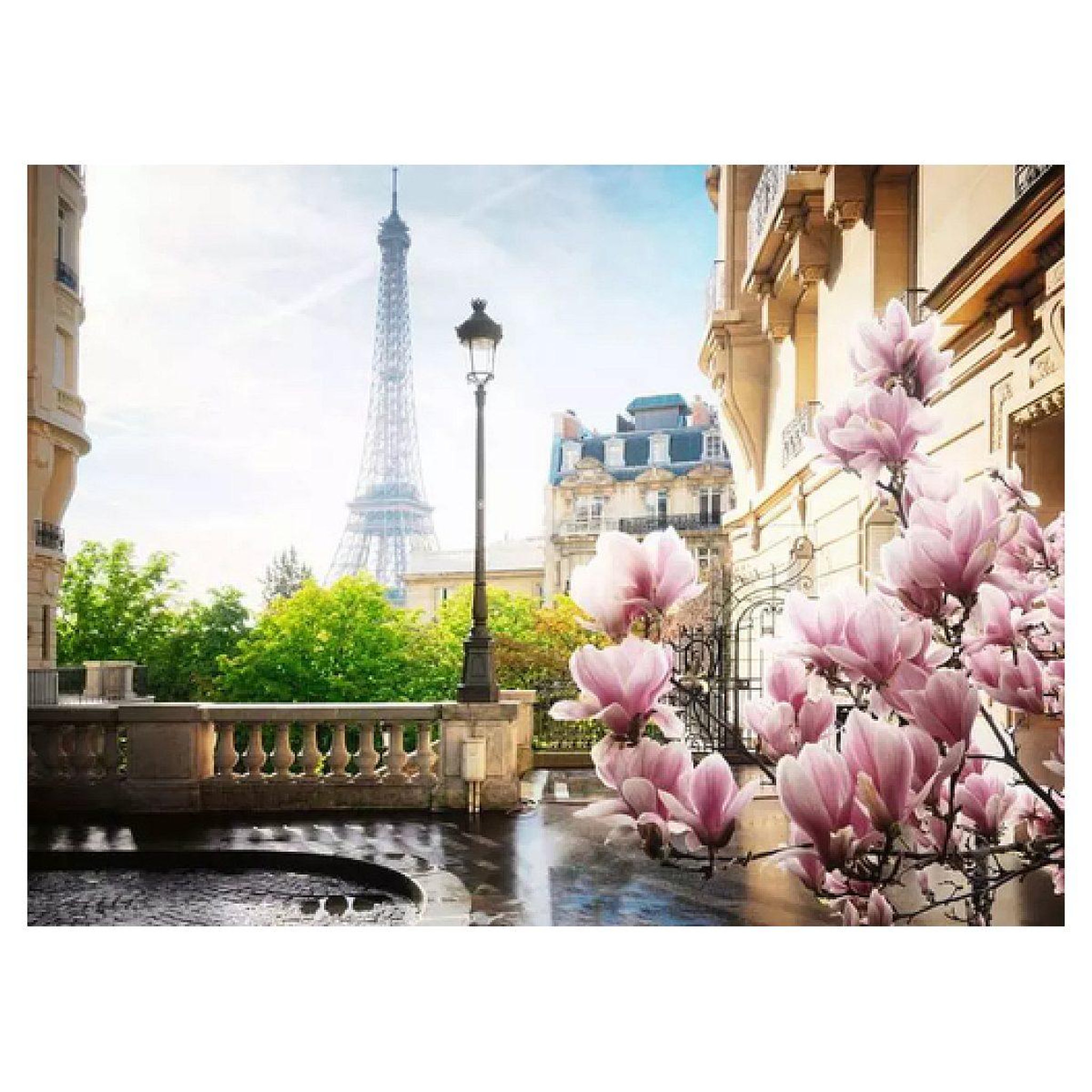 Voir la diapositive 2 : Nathan 500p puzzle le printemps a paris
