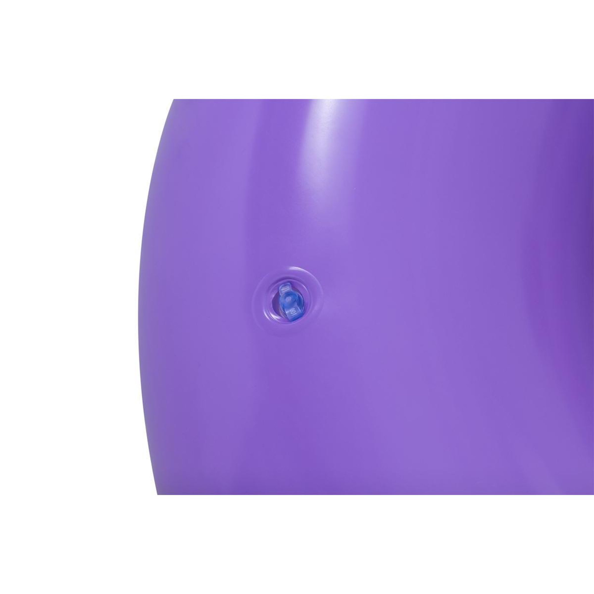 Voir la diapositive 3 : BESTWAY Bouée piscine arc-en-cliel  36352 1.19m