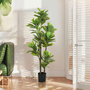 Voir la diapositive 3 : HOMCOM Ficus Lutea artificiels 1,50H m - lot de 2 ficus artificiels - 120 feuilles réalistes par pied - pot inclus noir vert