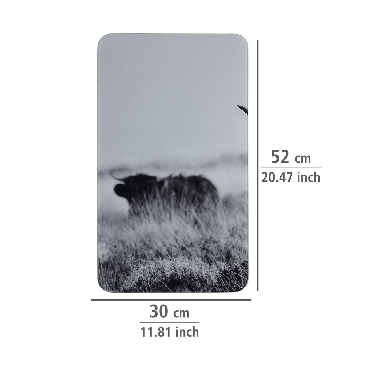 Wenko Lot de 2 Plaques de protection universelle en verre trempé Highland Cattle - Longueur 52 cm x Largeur 30 cm