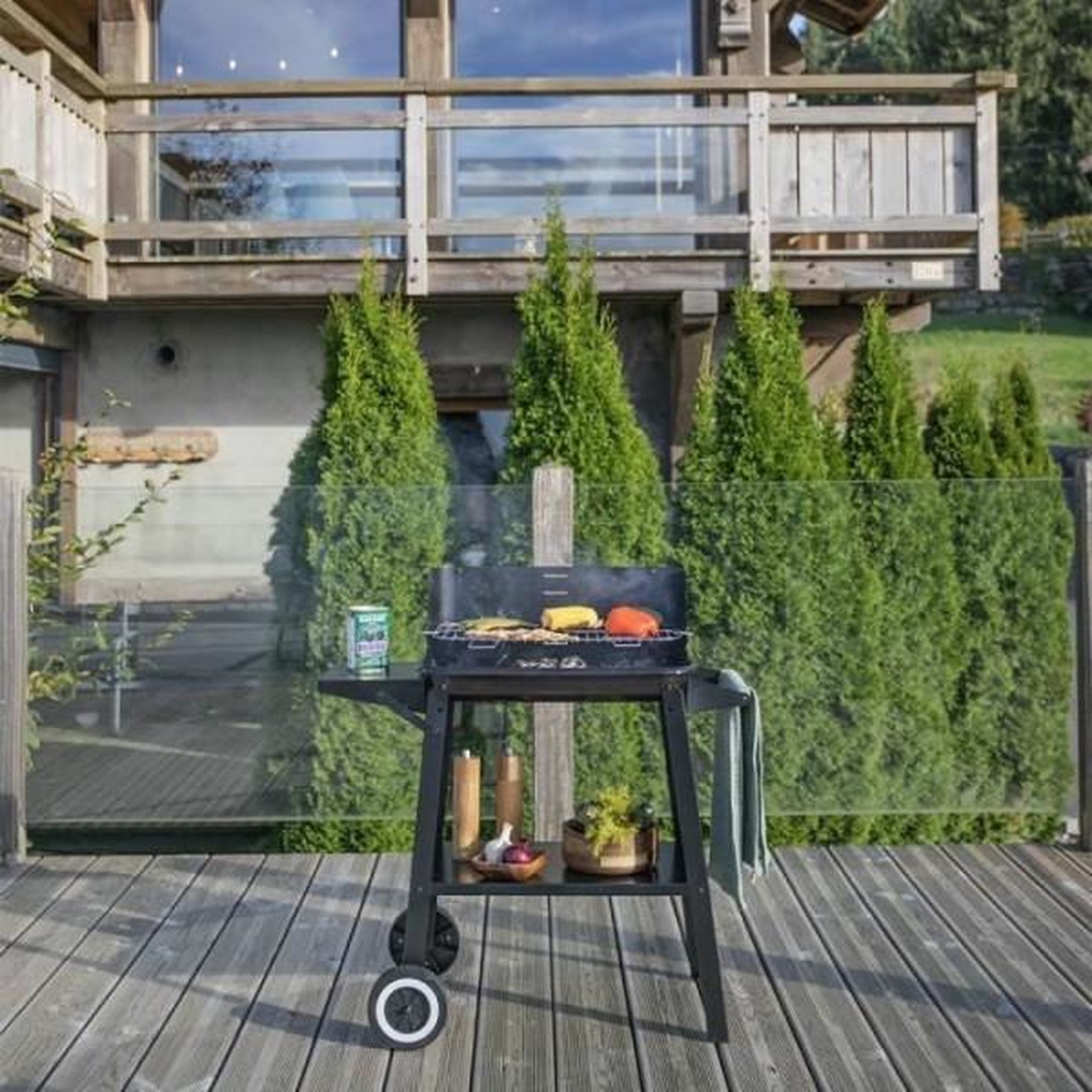 Voir la diapositive 6 : LIVOO Barbecue à charbon 48.5 x 28.8cm - doc328