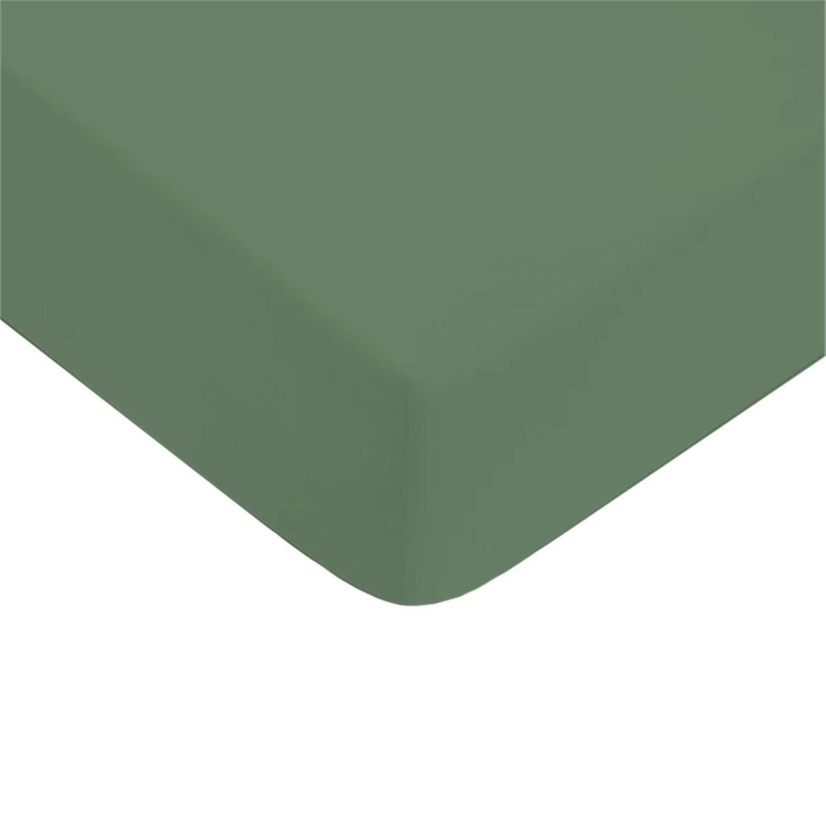 FUTURE HOME Drap housse uni en coton 57 fils