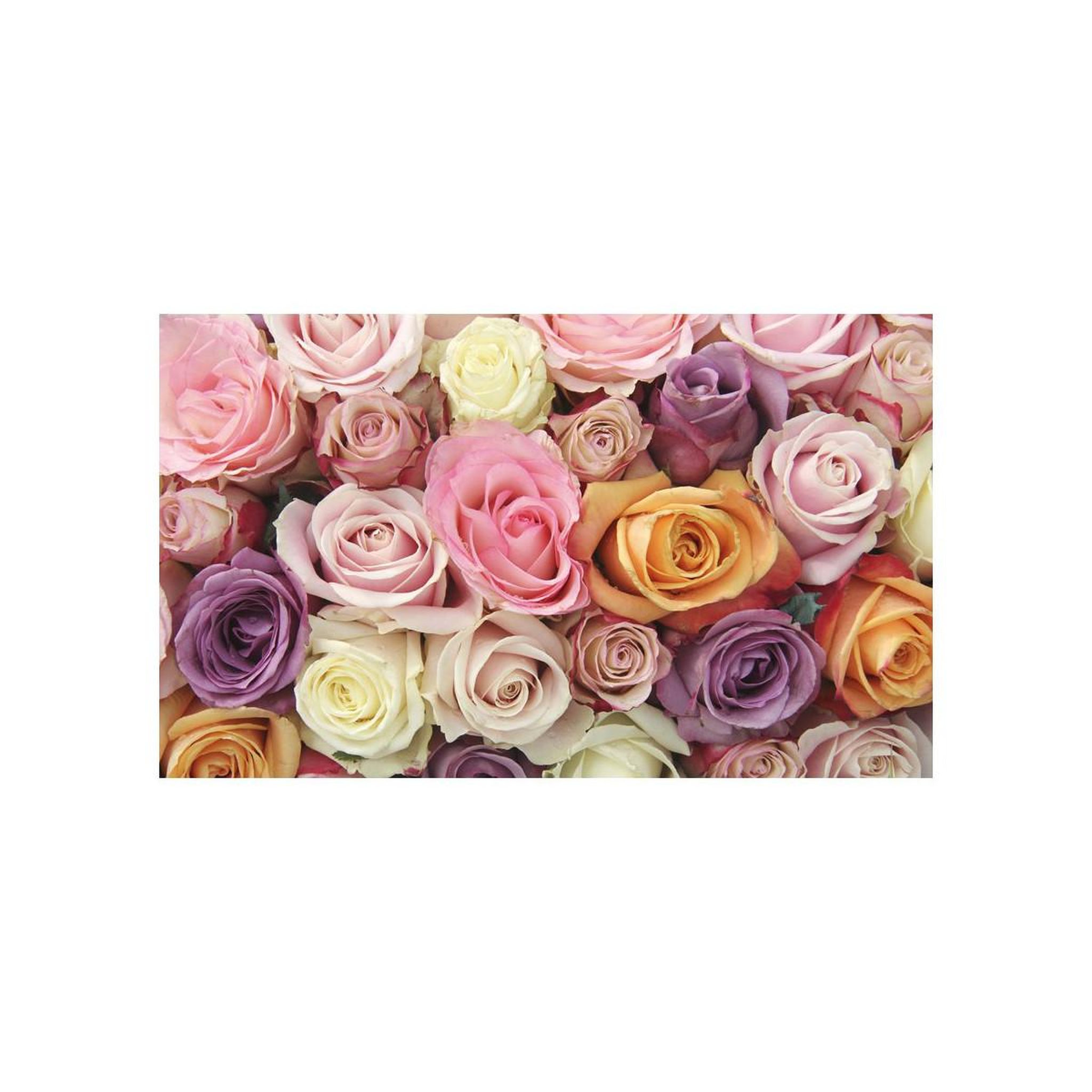 Voir la diapositive 2 : Paris Prix Papier peint  roses pastels  270x450cm