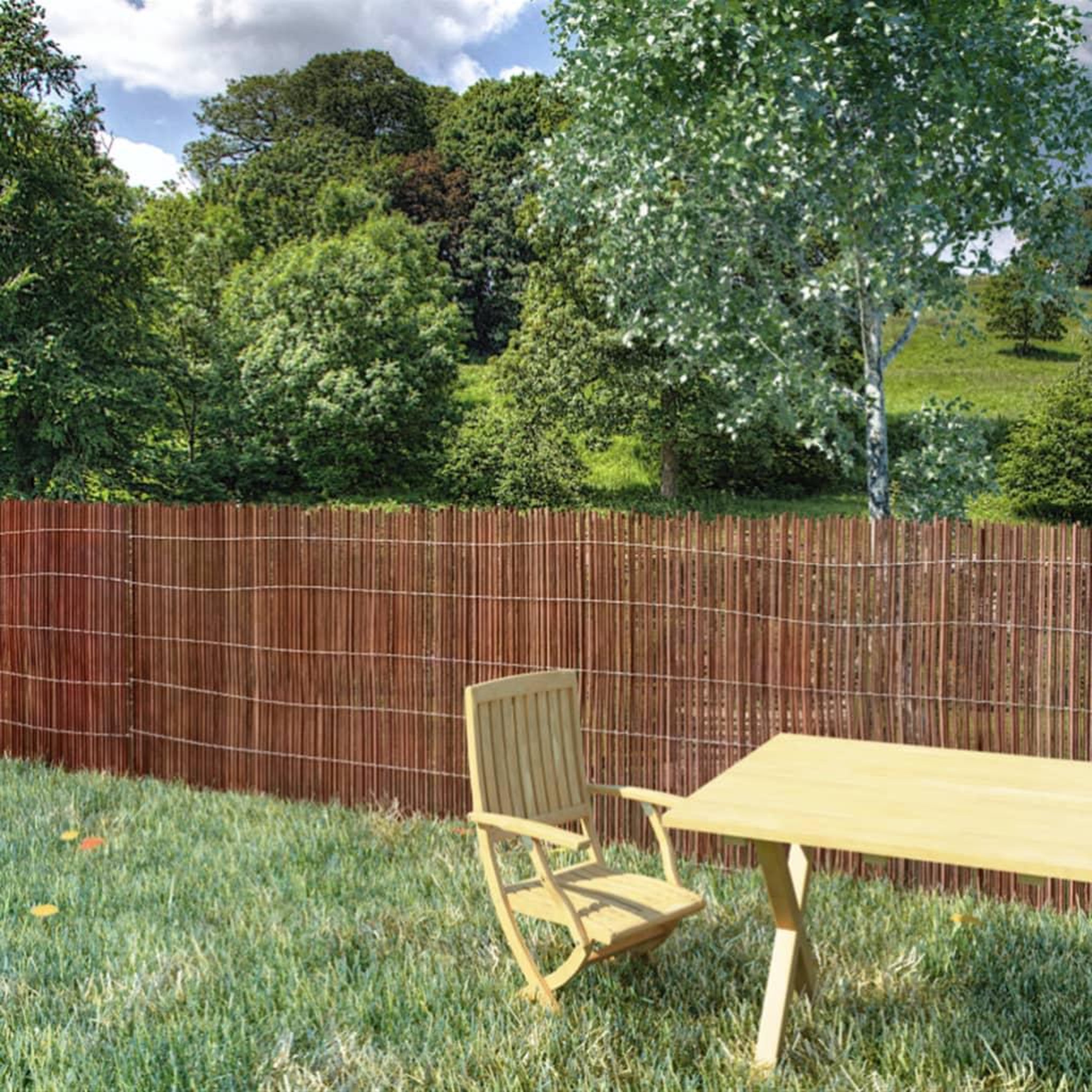 VIDAXL Cloture de saule 300x100 cm