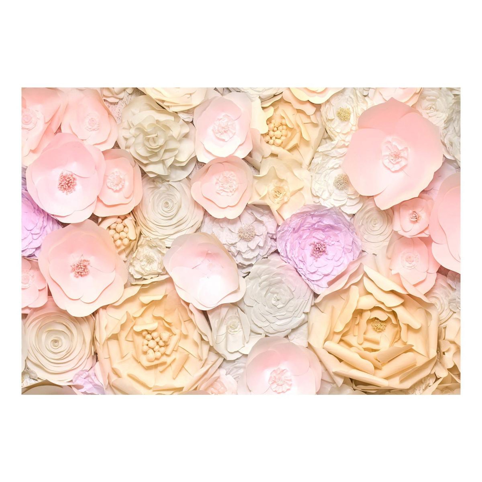 Voir la diapositive 2 : Paris Prix Papier peint  flower bouquet