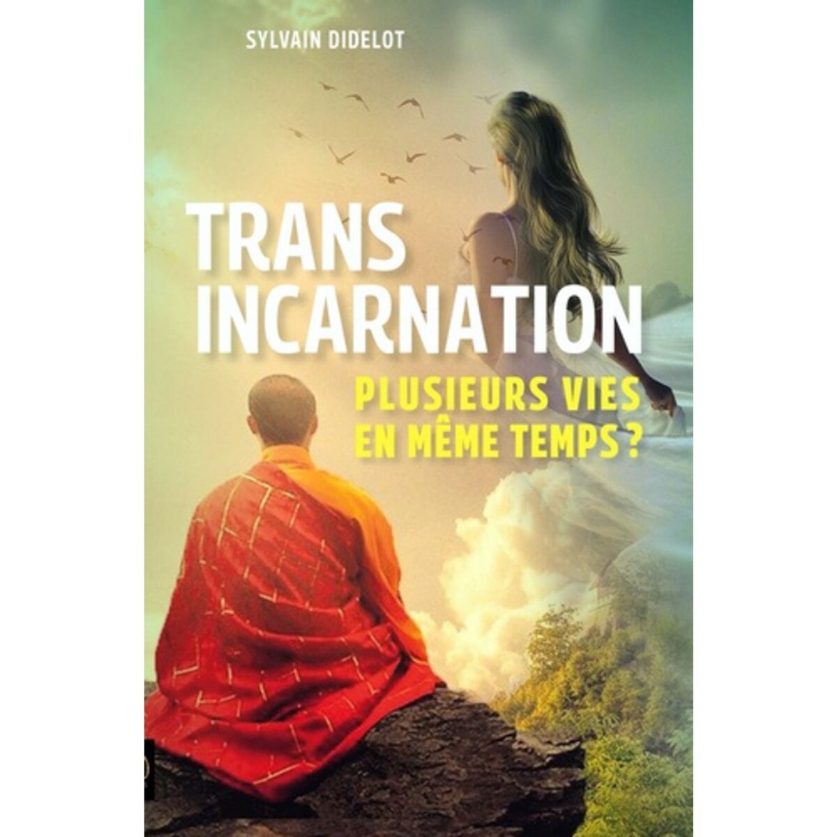  TRANSINCARNATION. PLUSIEURS VIES EN MEME TEMPS ?, Didelot Sylvain