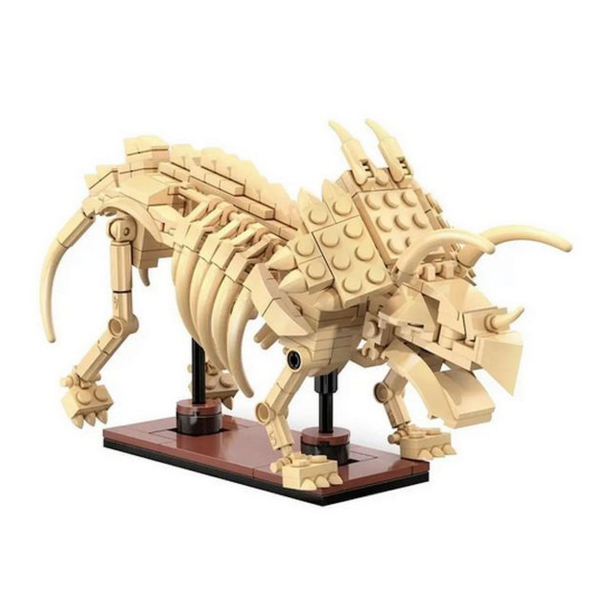 Jamara - Creative - squelette de triceratops