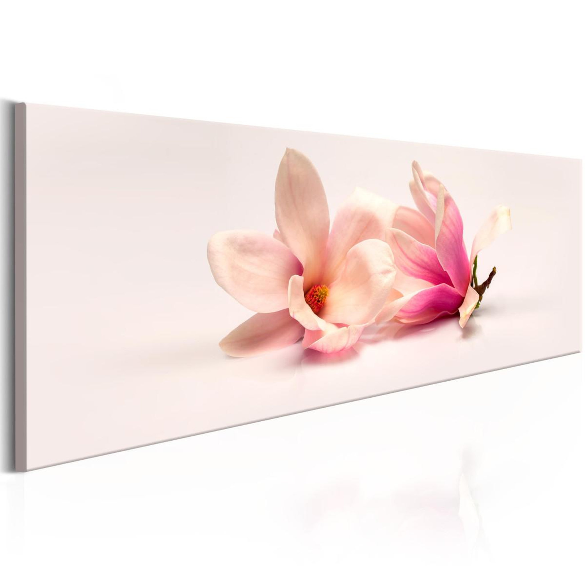 Voir la diapositive 1 : Paris Prix Tableau Imprimé  Beautiful Magnolias