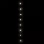 VIDAXL Guirlande lumineuse 2000LED Interieur/ex. 200m IP44 Blanc froid