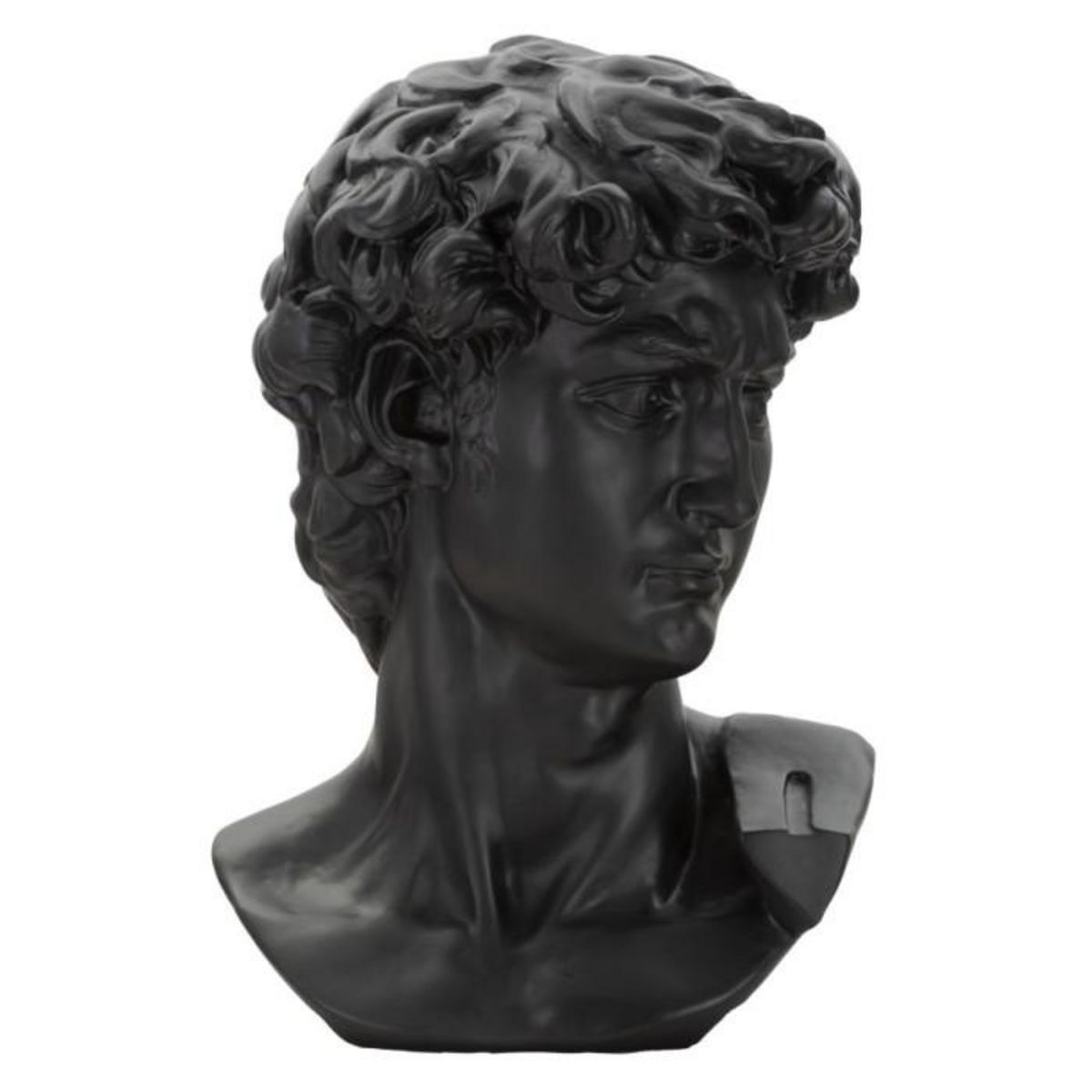 Paris Prix Statue Tête Homme  Irvin  60cm Noir
