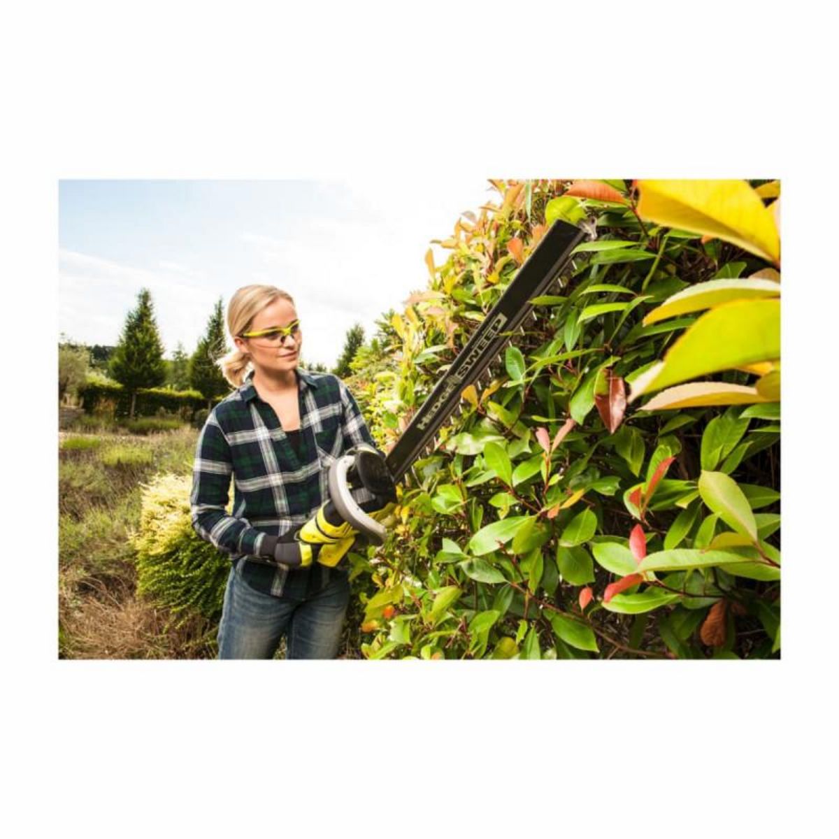 Ryobi [JAMAIS UTILISÉ] Taille-haies RYOBI LithiumPlus - sans batterie ni chargeur - 36V - RHT36B61R