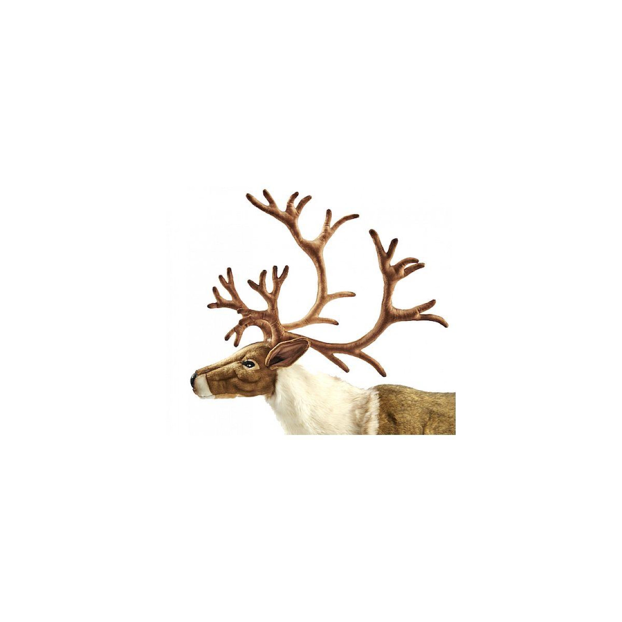 Voir la diapositive 2 : Hansa Hansa peluche geante renne nordic 165 cm l et 150 cm h
