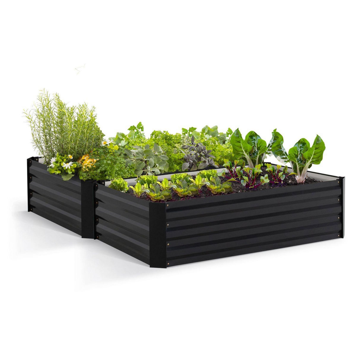 Jardikt Lot de 2 carrés potager - Métal - 115x80x20 cm