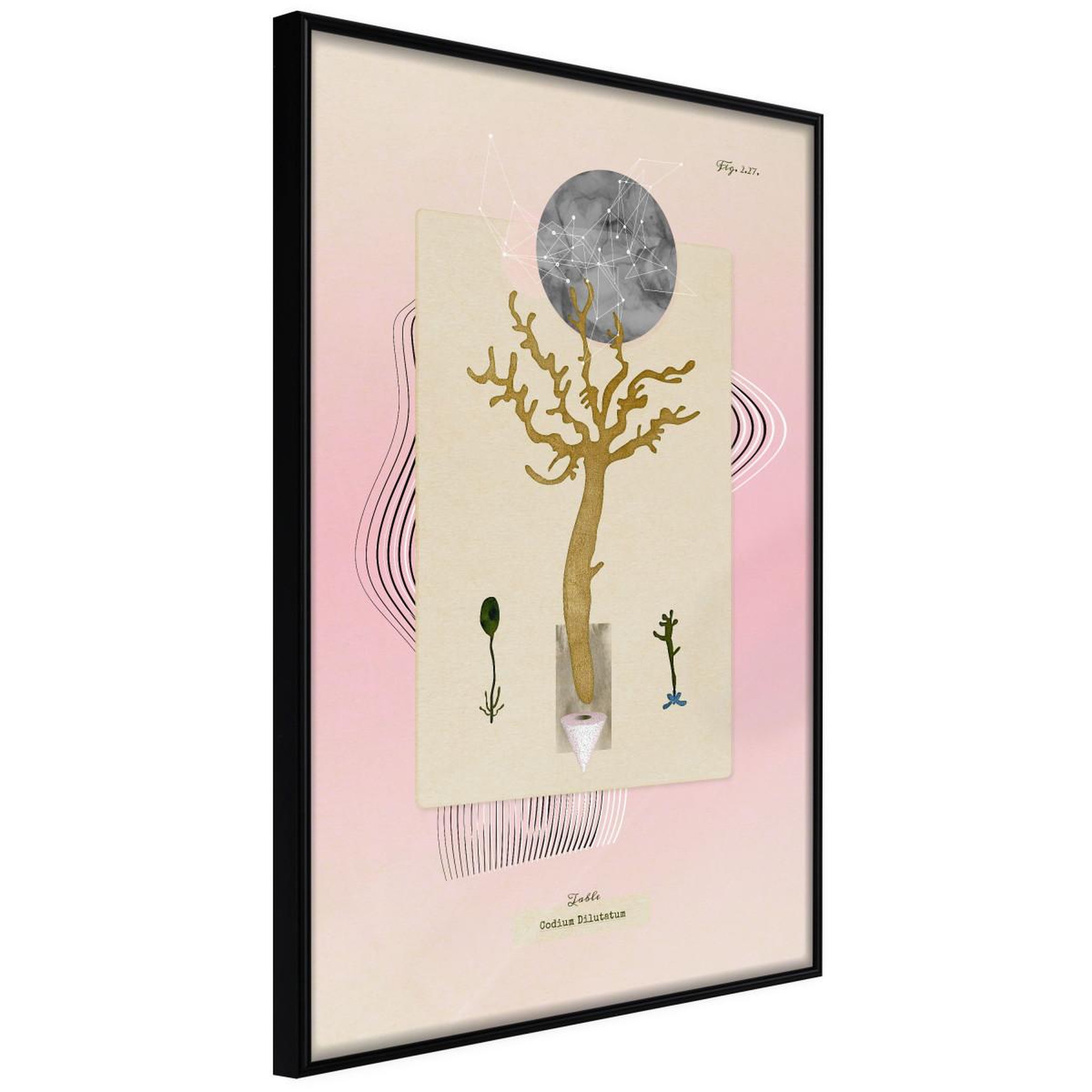Paris Prix Affiche Murale Encadrée  Aquatic Plant