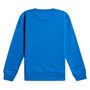 Voir la diapositive 2 : BILLABONG Sweat  Garçon Billabong Stamp