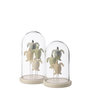 Voir la diapositive 2 : Paris Prix Cloche Déco en Verre  Turtle  26cm Multicolore