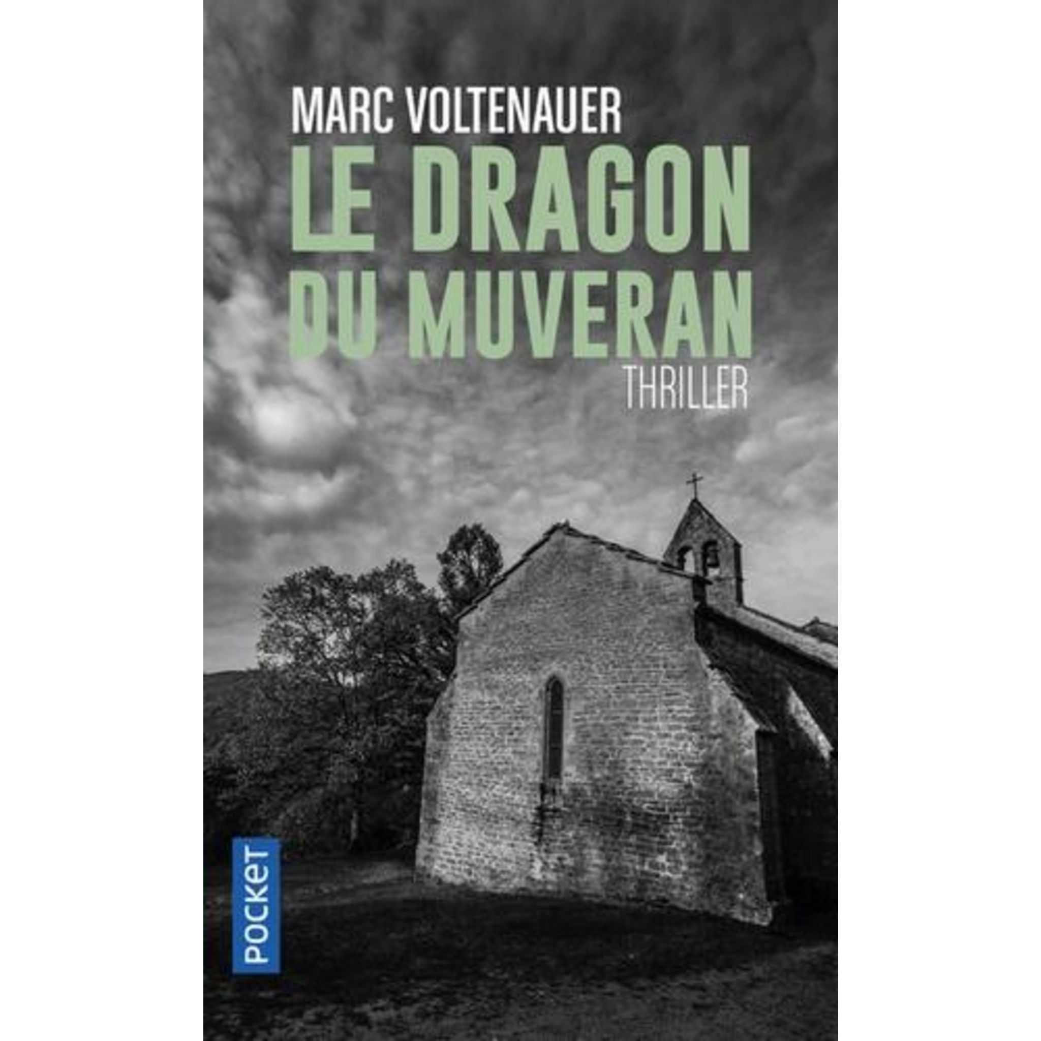 LE DRAGON DE MUVERAN, Voltenauer Marc pas cher - Auchan.fr