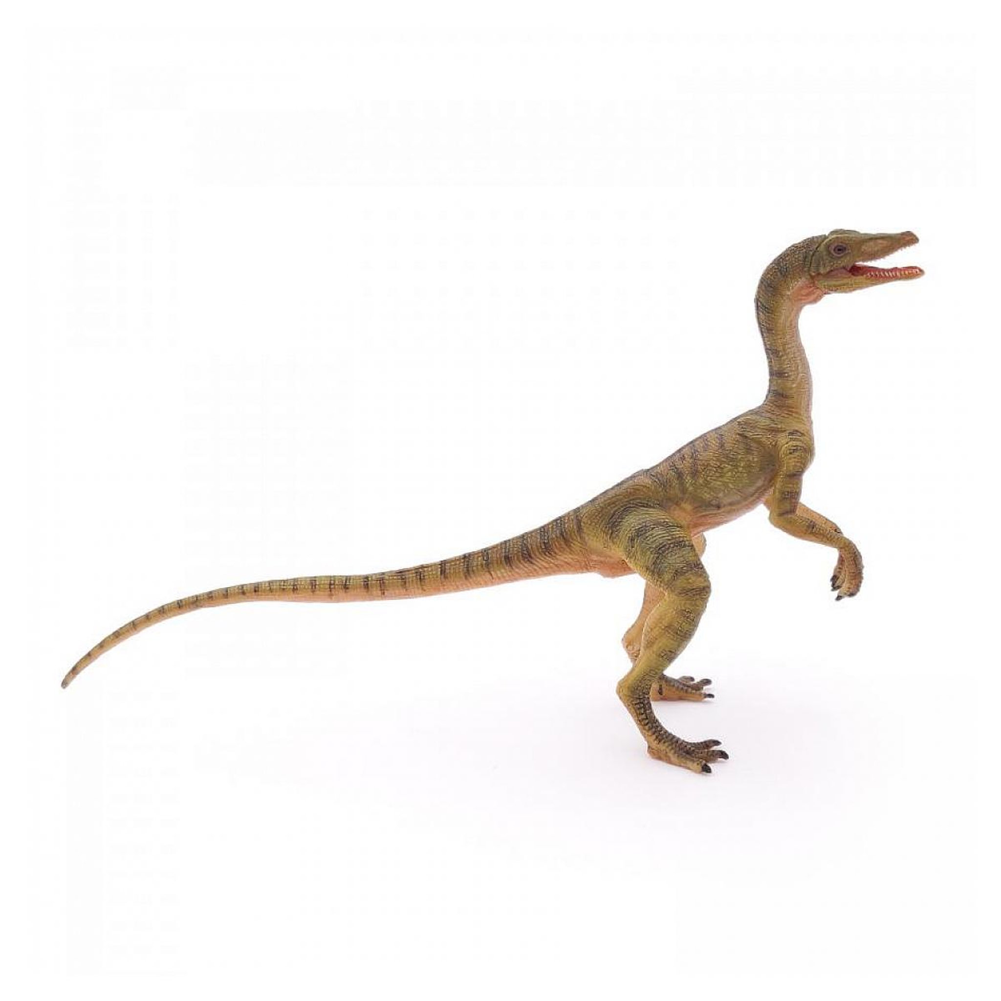 Voir la diapositive 5 : Papo 55072 Figurine Compsognathus