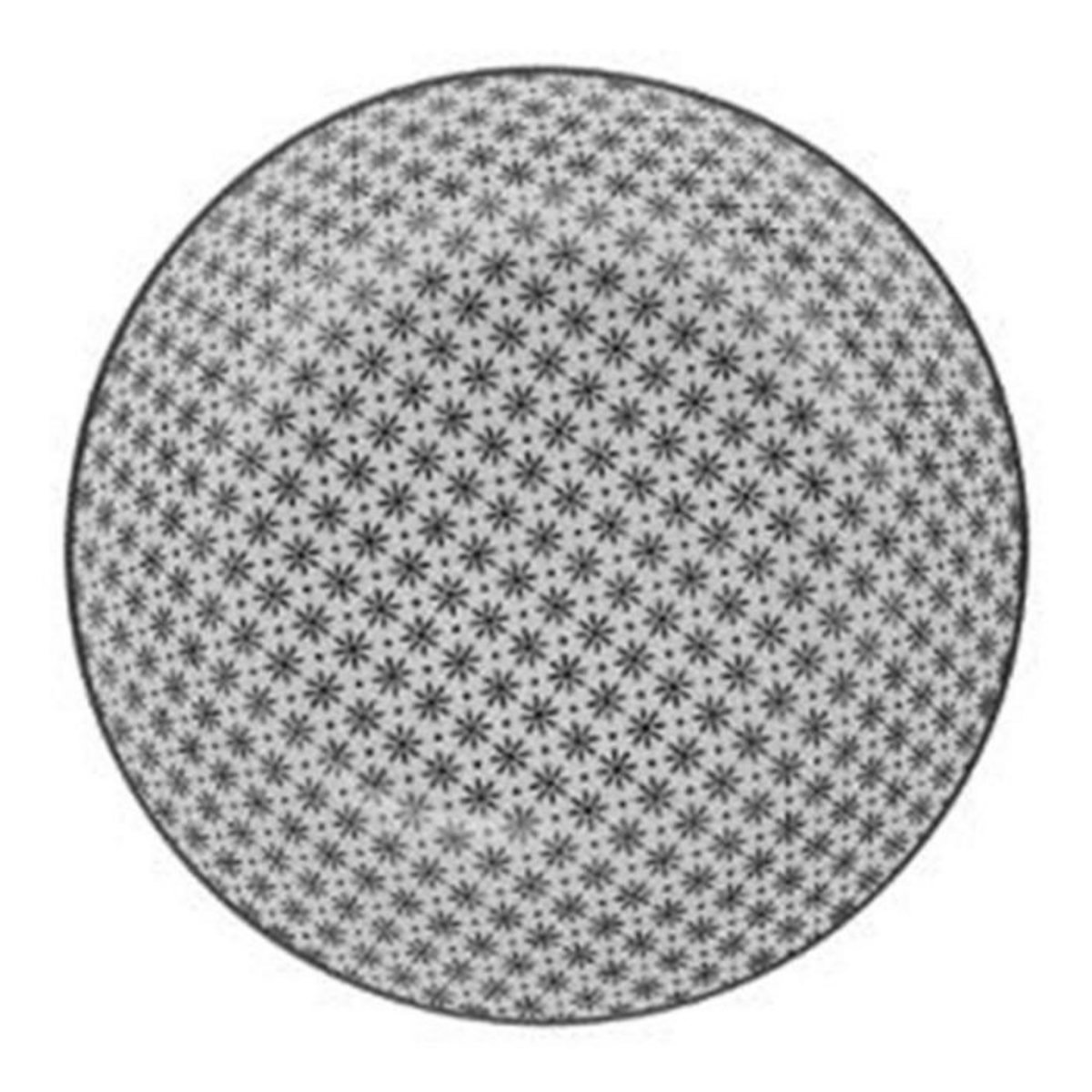 SECRET DE GOURMET Lot de 6 Assiettes Creuses  Bohemia Fleur  20cm Noir