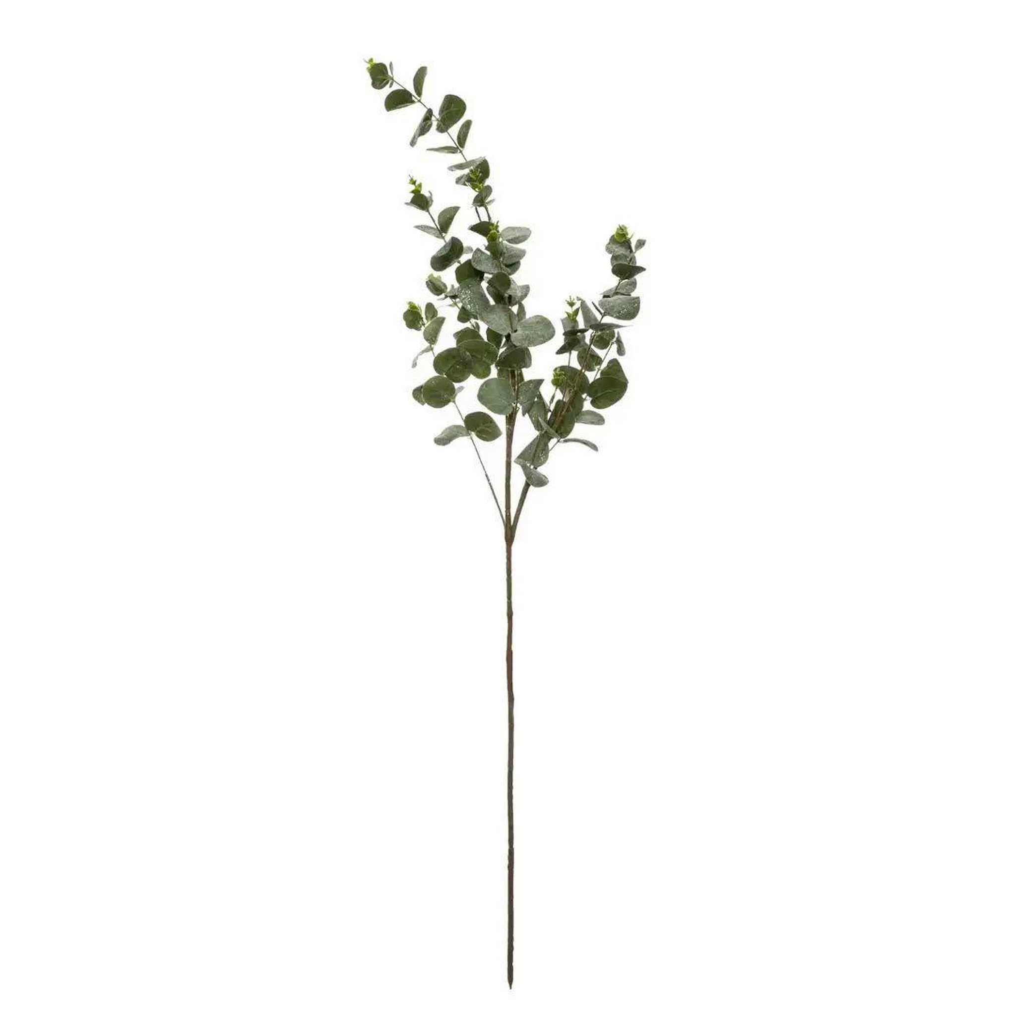 ATMOSPHERA Branche d'eucalyptus  génération vintage  98cm vert