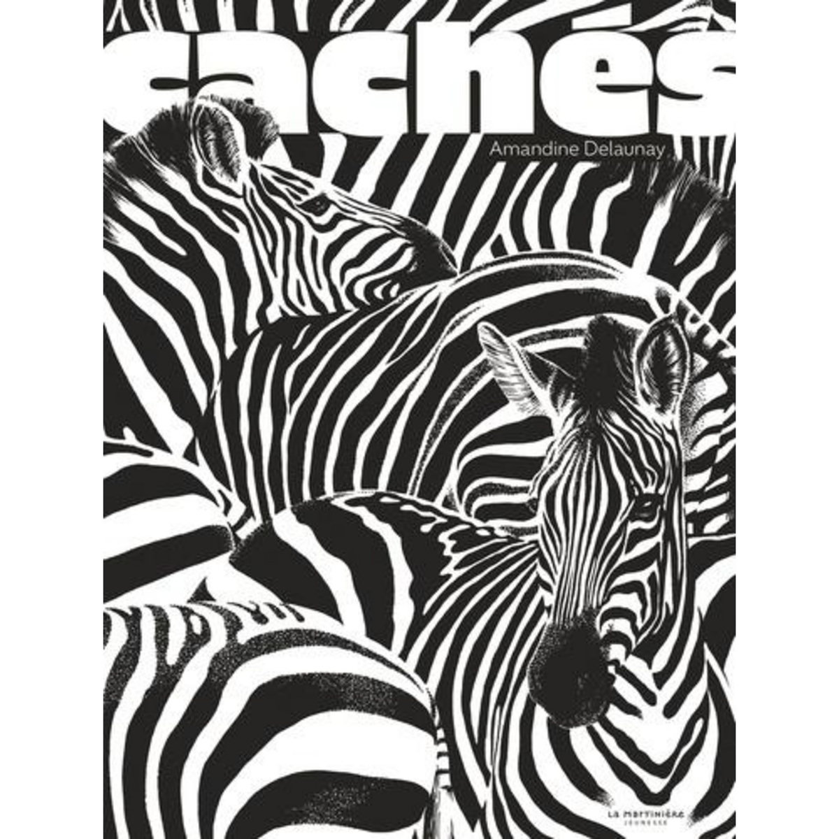 CACHES, Delaunay Amandine