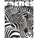 CACHES, Delaunay Amandine