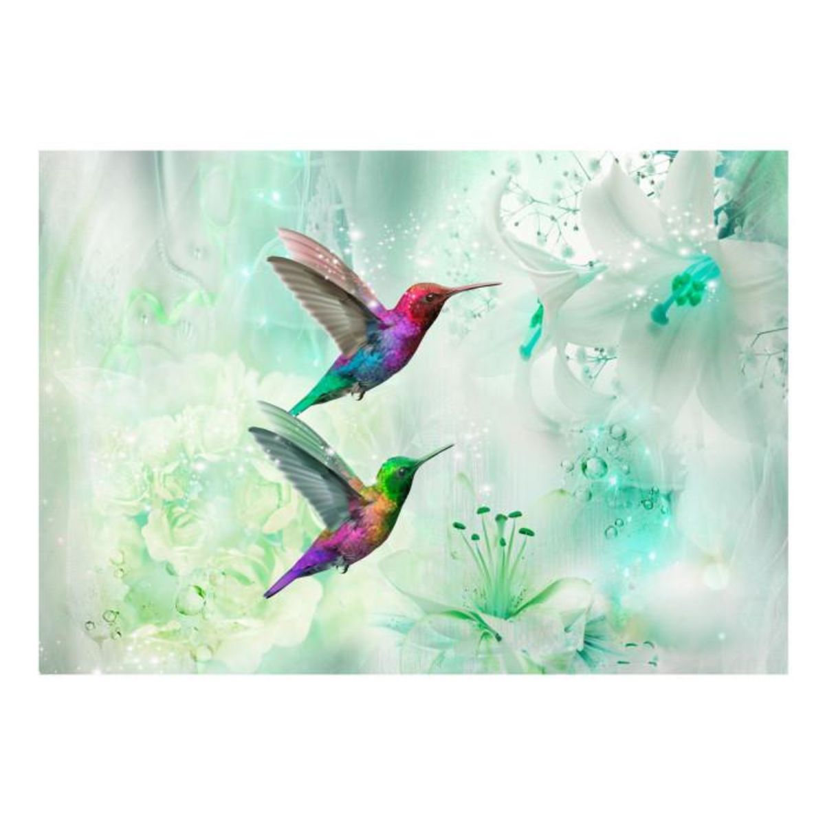 Paris Prix Papier Peint  Colourful Hummingbirds Green