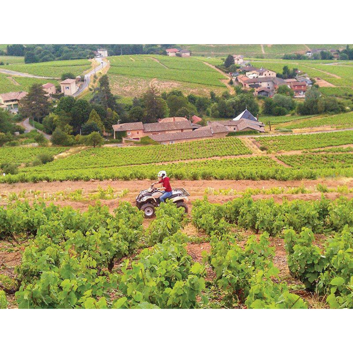 Smartbox 1h de randonnée en quad pour 2 adultes et 2 enfants près de Limoges - Coffret Cadeau Sport & Aventure