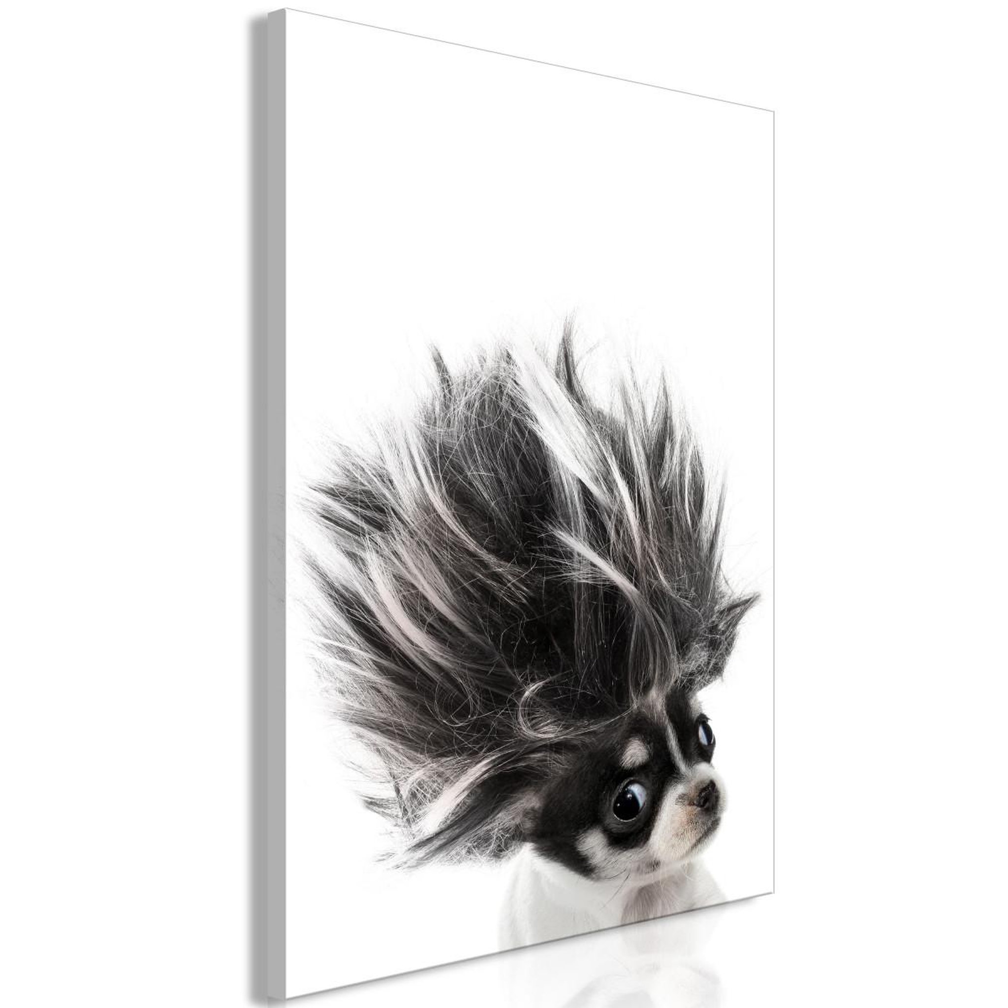 Paris Prix Tableau imprimé  chihuahua. Coloris disponibles : Multicolore