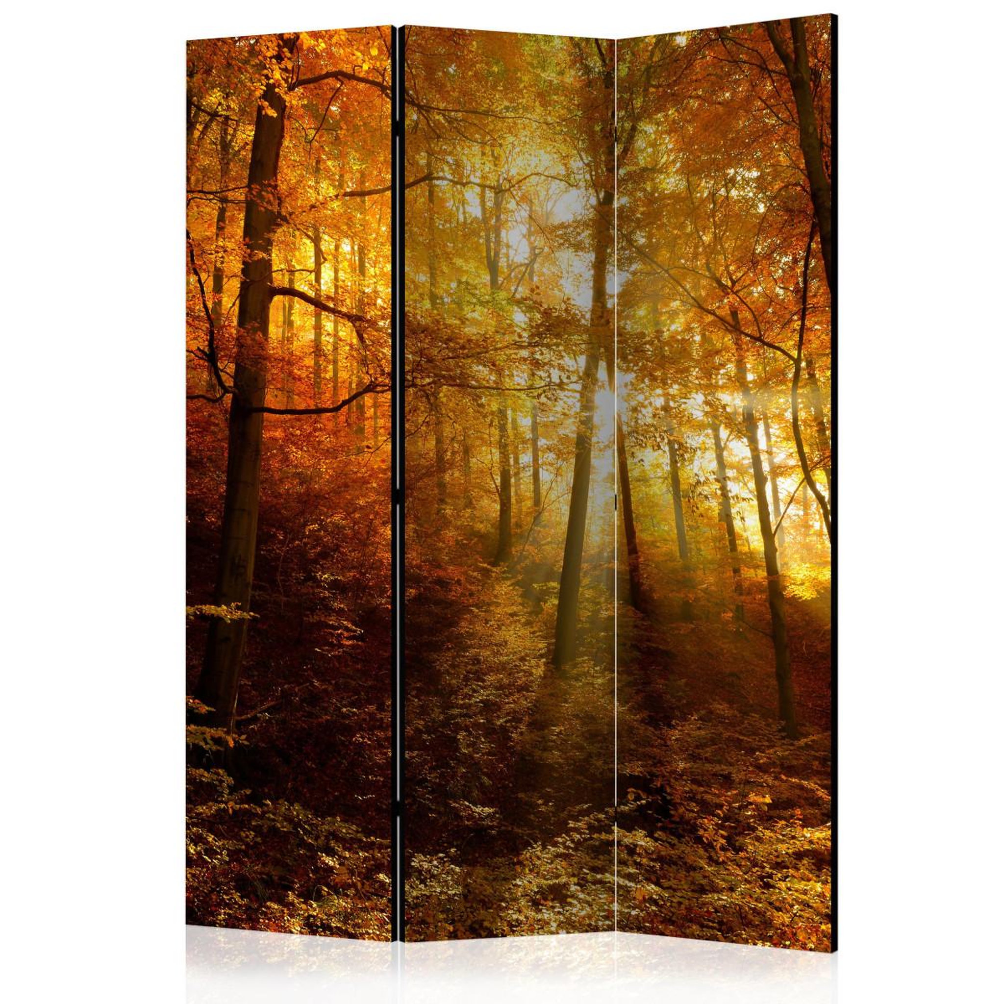 Paris Prix Paravent 3 volets  autumn illumination  135x172cm
