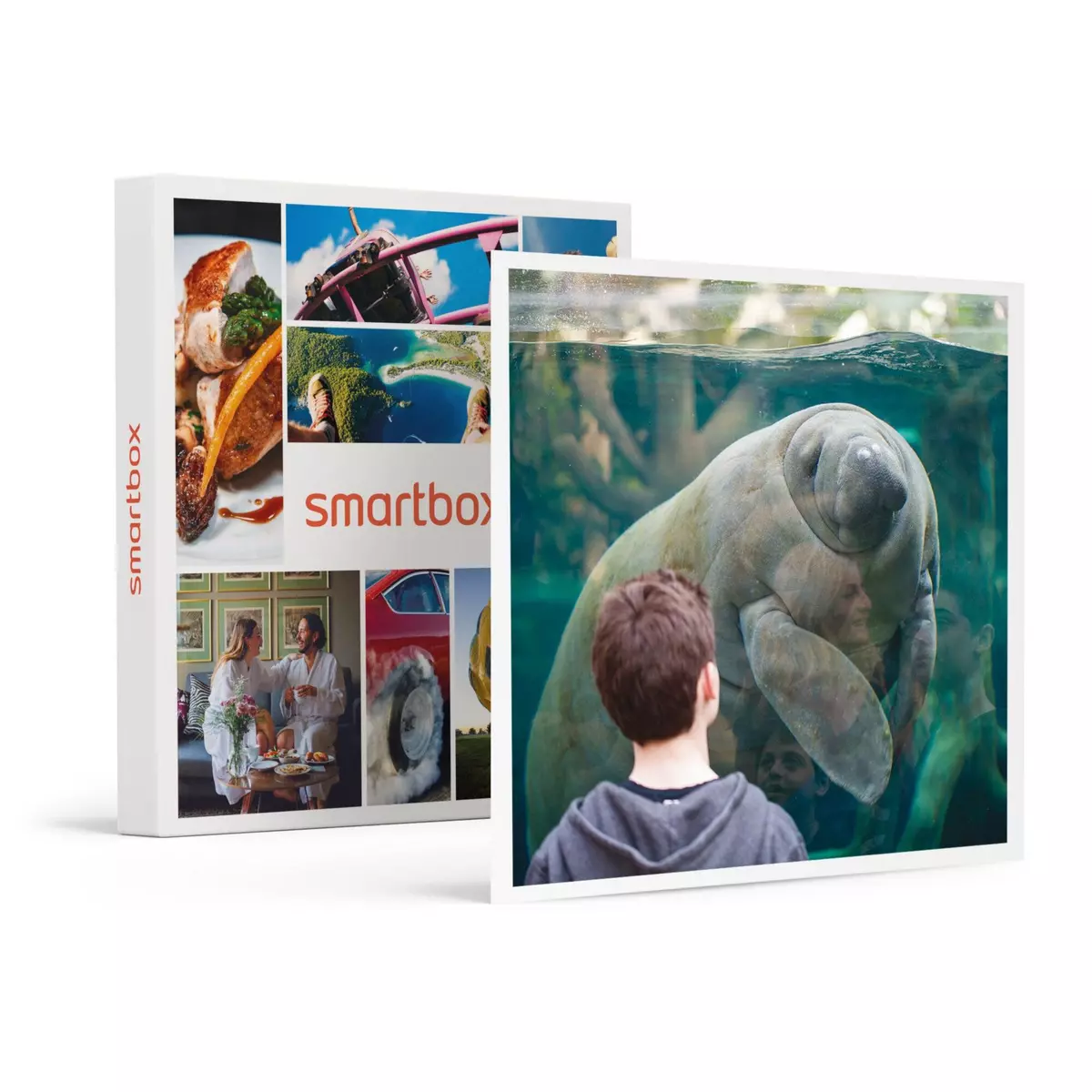 Smartbox Activité en famille : entrée pour 2 adultes et 2 enfants au Parc Zoologique de Paris - Coffret Cadeau Sport & Aventure
