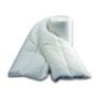 Voir la diapositive 4 : GENERIQUE Couette spéciale câline - Tempérée - 240 x 220 cm - 250 g/m² - Blanc