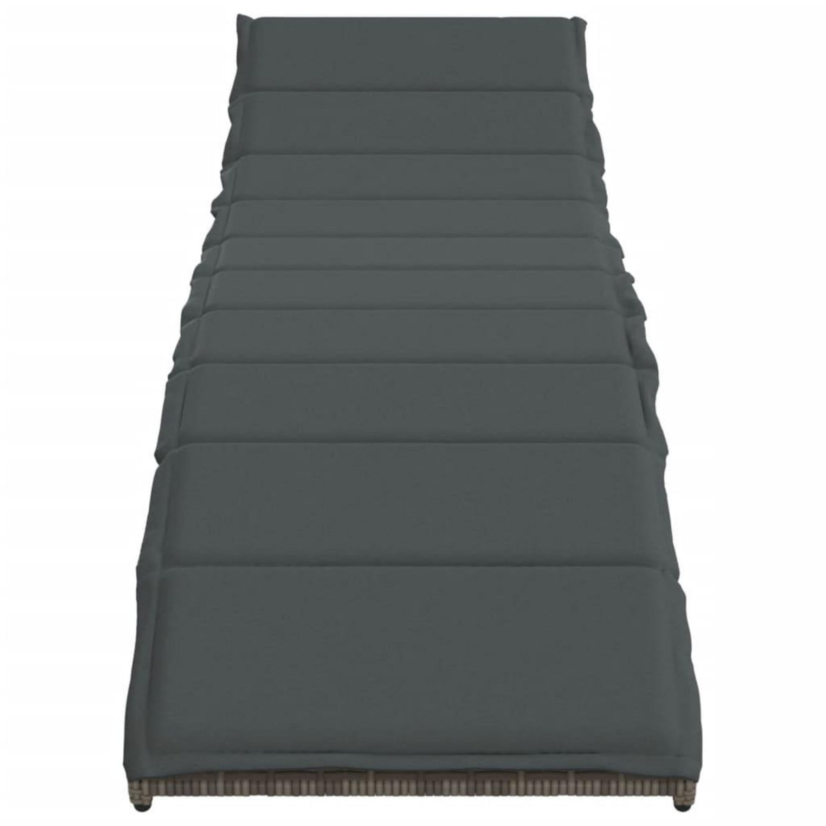 VIDAXL Chaise longue avec coussin gris 55x199x50 cm resine tressee