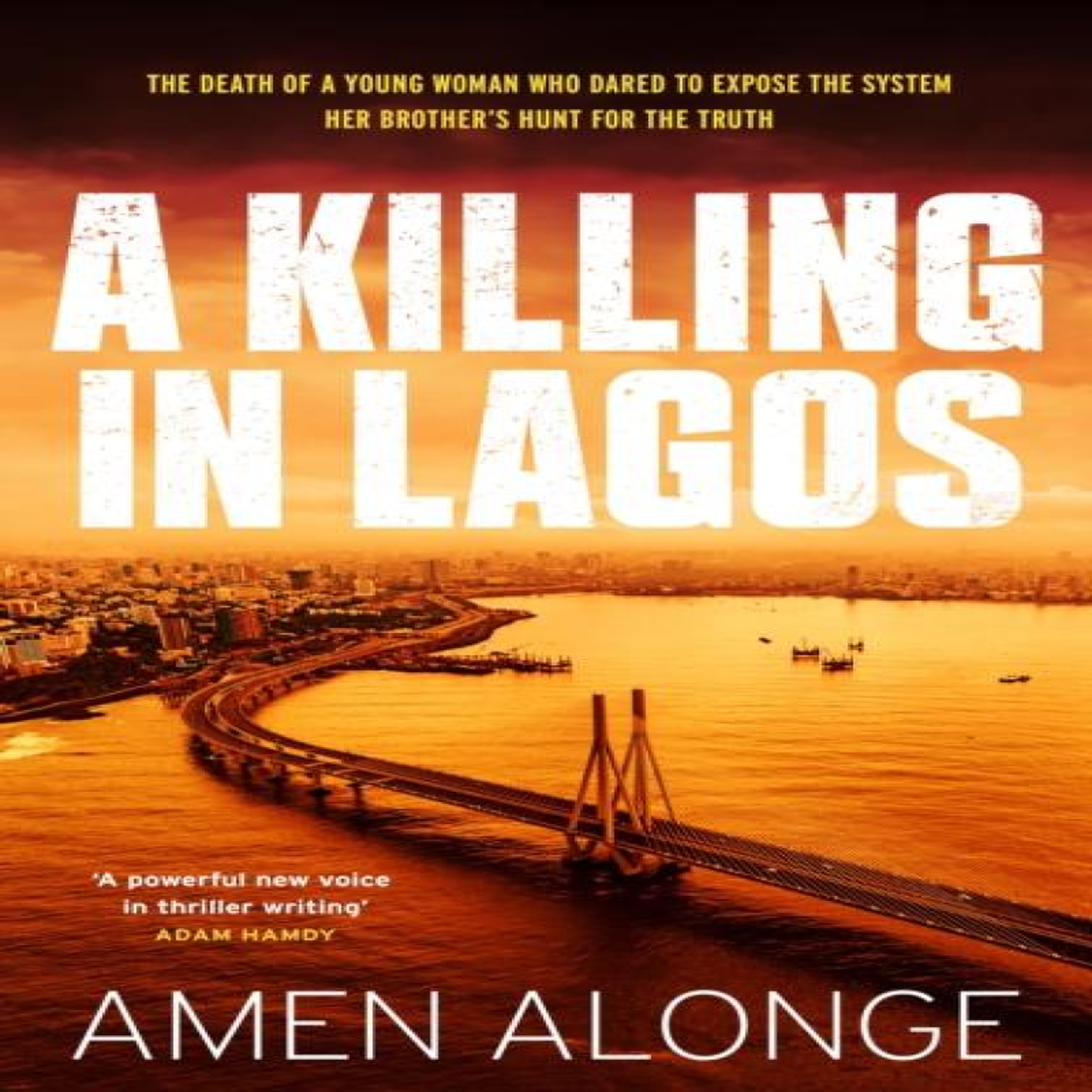 LIVRES Killing in Lagos - Amen Alonge