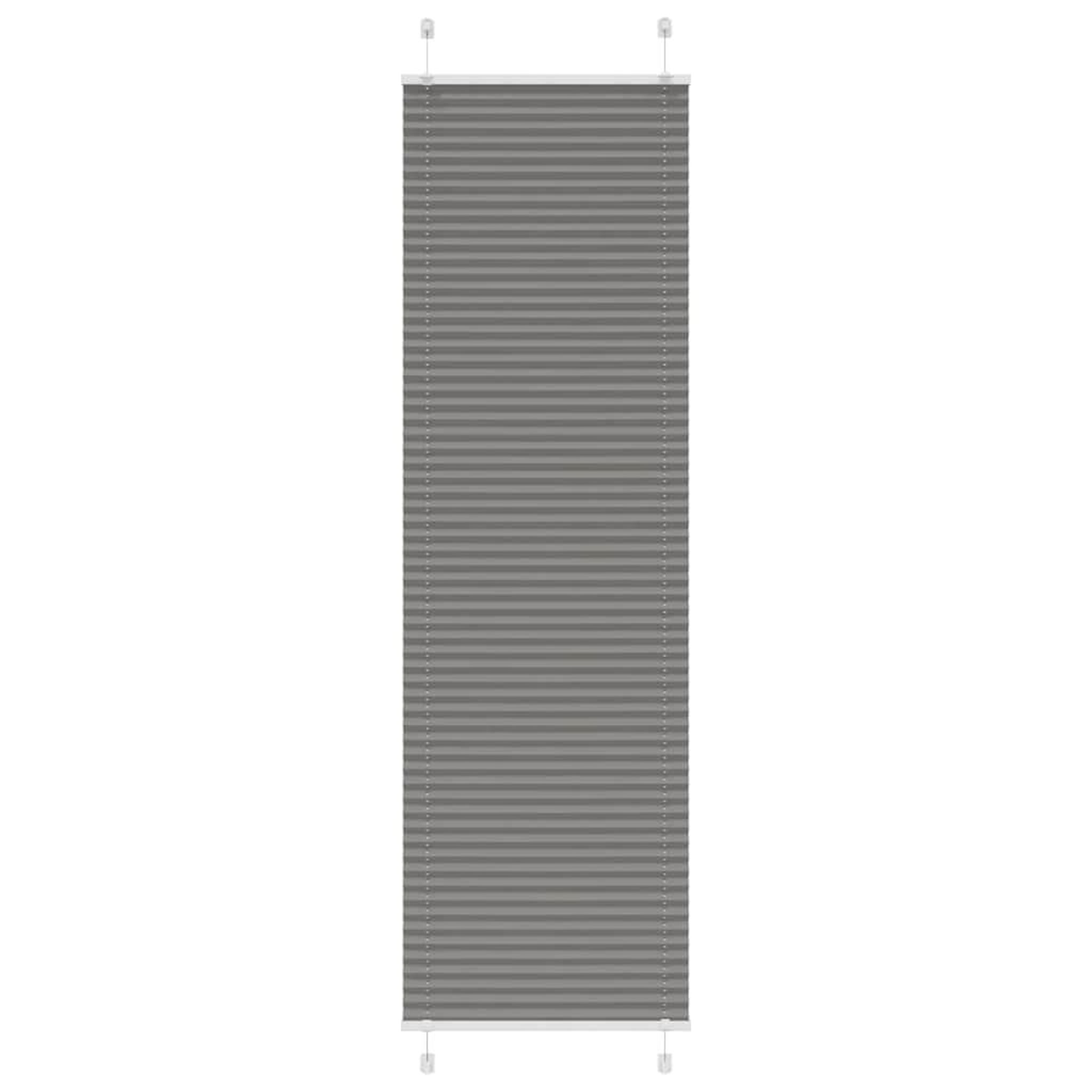 VIDAXL Store plisse anthracite 55x200 cm largeur du tissu 54,4 cm