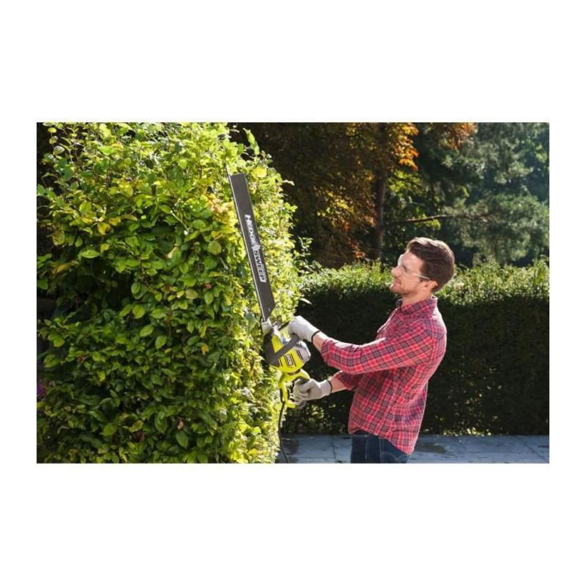 Ryobi Taille-haies électrique RYOBI - RHT8165RL - 800W