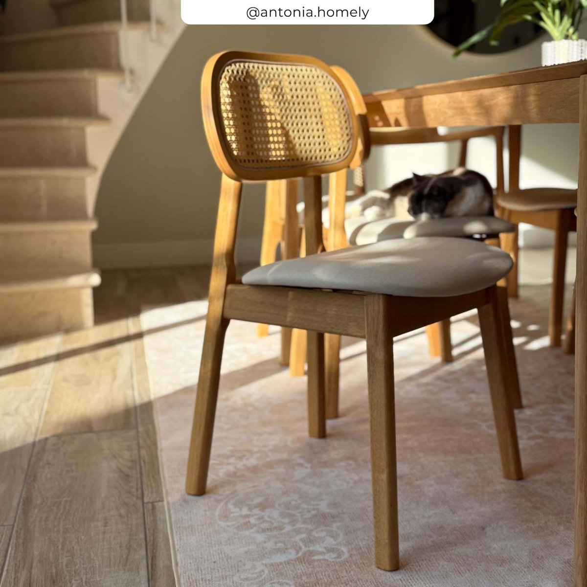 Rendez vous déco Lot de 2 chaises en bois clair, tissu beige et rotin synthétique - Maria