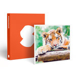 Smartbox Journée au Parc Zoologique d'Amnéville pour 2 adultes - Coffret Cadeau Sport & Aventure