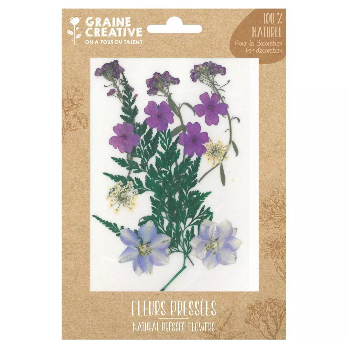 Graine créative 13 fleurs pressées - prairie violette