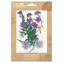 Graine créative 13 fleurs pressées - prairie violette