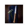 Voir la diapositive 3 : Opinel Couteau Coffret facette 4 Olivier