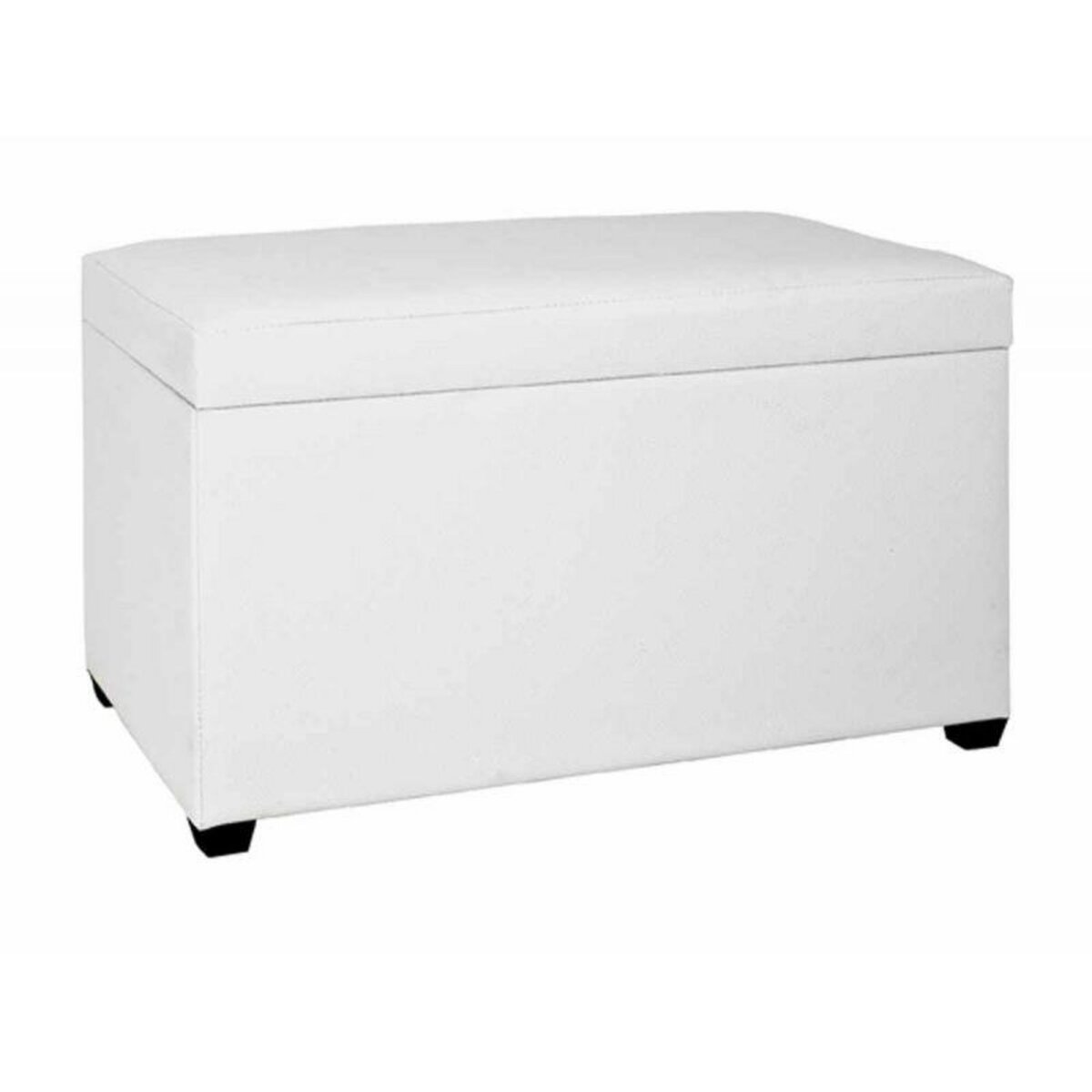 Coffre de Rangement Lozima 65cm Noir & Blanc