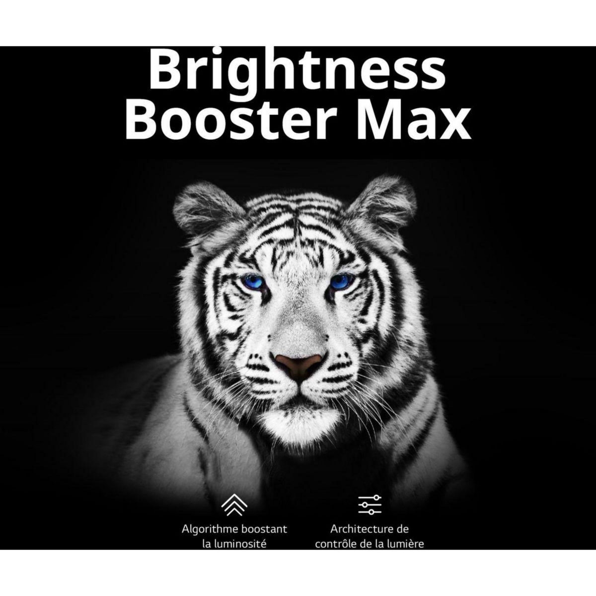 LG TV OLED OLED83M3 2023