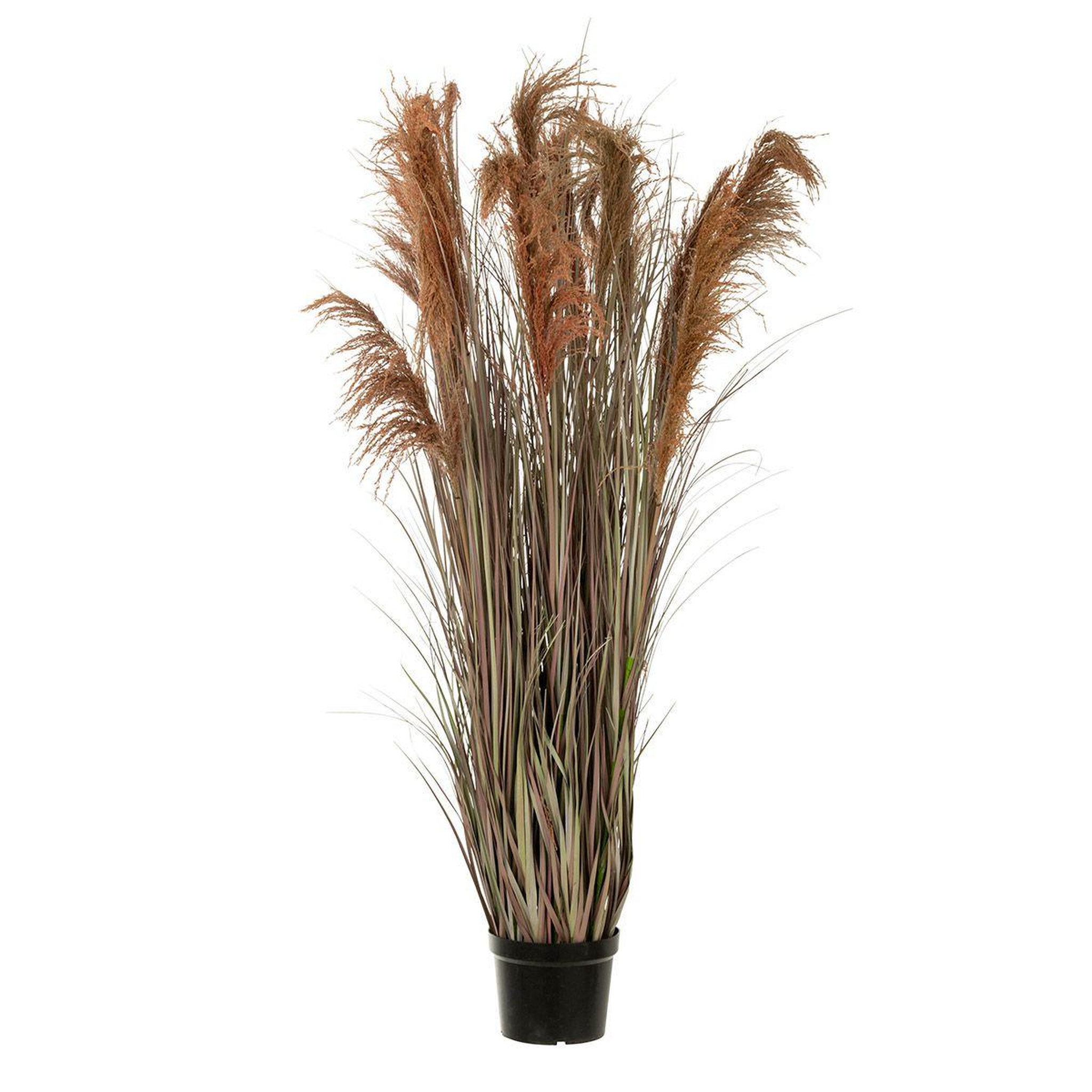 J-LINE Herbe de pampas artificielle en pot  13 têtes  180cm vert & orange