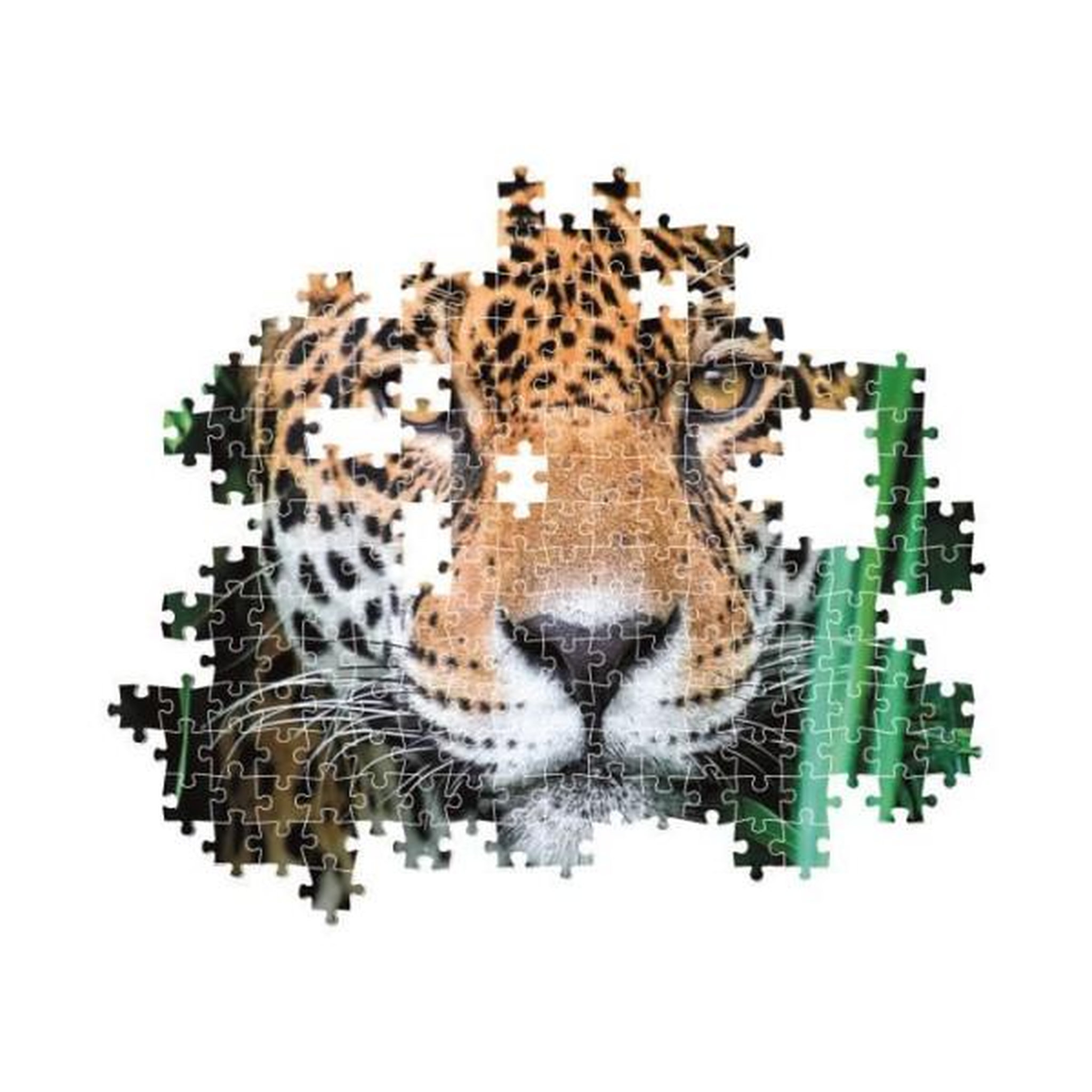 Voir la diapositive 3 : CLEMENTONI Clementoni - compact 500 pieces - jaguar in the jungle