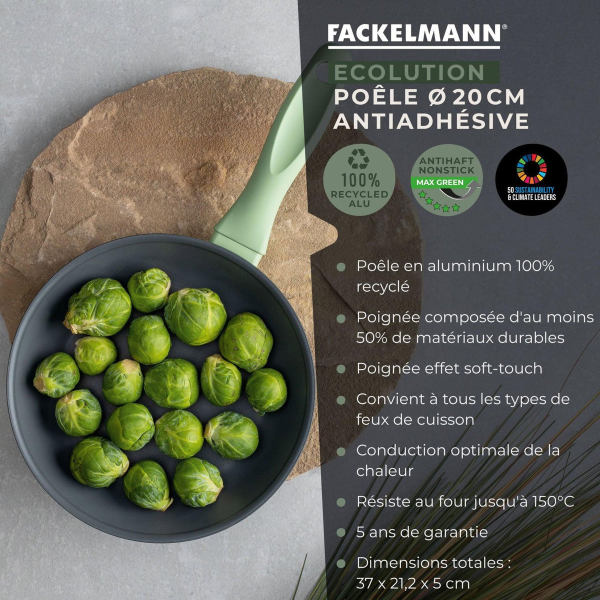 Fackelmann Poêle à frire et couvercle de cuisson de 20 cm de diamètre Fackelmann Ecolution